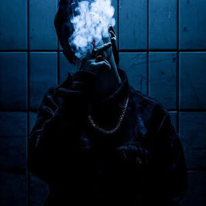 Meet your Posher, Amie